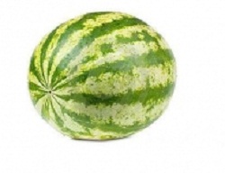 karpouzi2